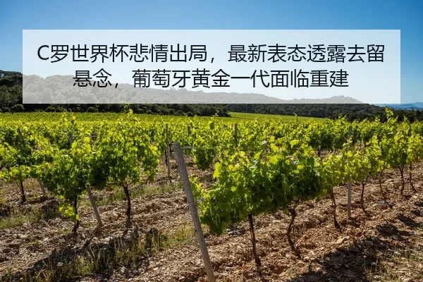 C罗世界杯悲情出局，最新表态透露去留悬念，葡萄牙黄金一代面临重建