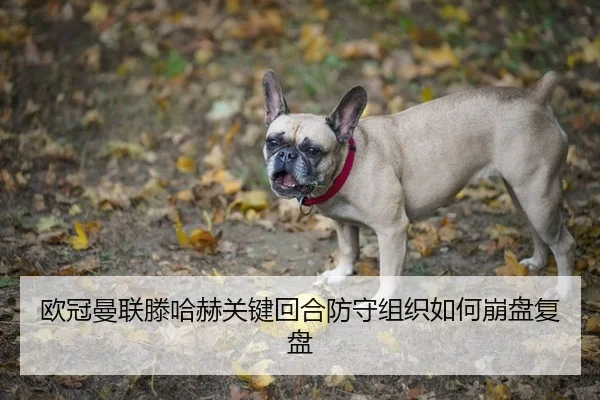 ou-guan-man-lian-teng-ha-he-guan-jian-hui-he-fang-shou-zu-zhi-ru-he-beng-pan-fu-pan-2-449.jpg